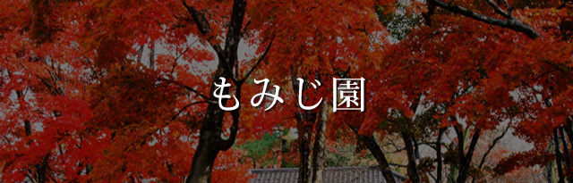 朝日酒造_環境活動_新潟県ホタルの会